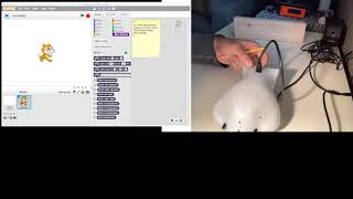 The Finch Robot: tour of the sensors