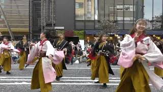 法政大学鳳遙恋 さん浄蓮寺1回目 町田夢舞生ッスイ祭2022