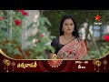 Satyabhama - Promo | 1st Nov 2024 | Star Maa Serials | Mon-Sat at 6 pm | Star Maa