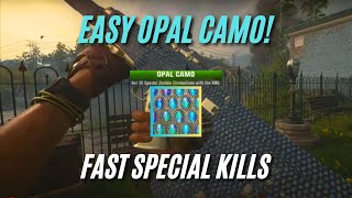 The *FASTEST* Way To Get 30 SPECIAL KILLS For OPAL Camo! (BO6 Zombies Camo Guide)