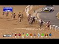 arrogate usa 2017 dubai world cup