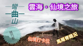 彎曲山【忍者諜報】雲海仙境之旅 精巧版 | 馬尾脊上山路況 | 仙境打卡位分享 |