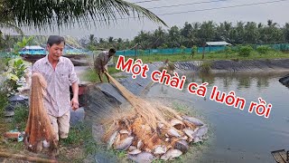 Người ta đi Cồn đám giỗ Còn tôi đi cồn chài cá phi cho vui #congvinhvlog71 #mientayquetoi #chaicaphi