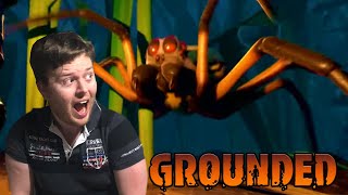Daz Games & BitMoreDave Chased by SPIDERS