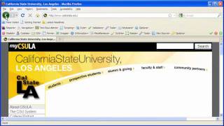 JavaScript and Accessibility: Web Author B