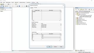 ArcMap Create Coded Value Domain