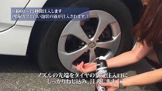 瞬間パンク修理剤　タイヤパンドーC（普通車用）