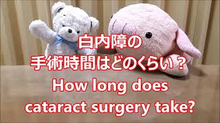 平日毎日更新【３０秒で薬局英会話】「白内障の手術時間はどのくらい？」「手術時間は5～30分と言われています。」〔#348〕English conversation at the pharmacy