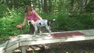 Puppy Training with Blaine & Patti Carter Part 1 of 2 part series