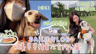 日常VLOG☀️收養羊羊後首次去狗公園〜嚇到呆坐如同一尊佛+引來好多小狗🐕收納我家地獄櫃桶！好吃減脂午餐get🍳？ (合作)