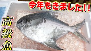 小豆島から届いた2.2kgの高級魚！今までやったことない調理方法に挑戦してみました！！