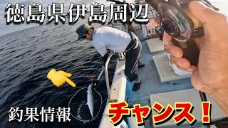 【釣果情報】チャーンス‼︎魚の活性強し‼︎ビギナーズラック発動？