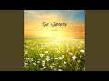 The Summer