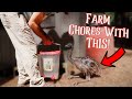 Farm Chores Are NOT Boring With An EMU!! [Raising An Emu]