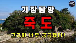 [기장탐방] 미스테리한 섬 죽도 