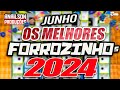 cd forrozinho 2024 sÓ as melhores • anailson produÇÕes