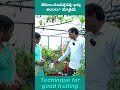 మంచి ఎరువు .. మంచి కాపును ఇస్తుంది .. garden shorts gardenideas