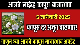 🔴कापुस भावाची विक्रमी वाढ  / 5 जानेवारी 2025 कापूस बाजार उसळले / कापूस बाजारभाव / kapus bhav