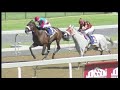 20180320 greyville race 3 won by elusive wolf