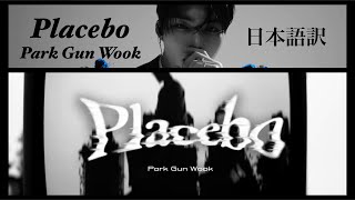 'Placebo' ZEROBASEONE Park Gun Wook 박건욱パクゴヌク 【カナルビ/日本語訳/意訳】