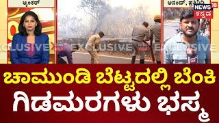 Fire Breaks Out at Chamundi Hill |ಚಾಮುಂಡಿ ಬೆಟ್ಟದಲ್ಲಿ ಬೆಂಕಿ ಆಕಸ್ಮಿಕ, ಬೆಂಕಿ ಕೆನ್ನಾಲೆಗೆ  ಗಿಡಮರಗಳು ಭಸ್ಮ