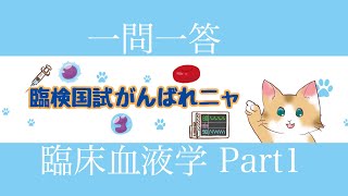 【臨床血液学Part1】一問一答 臨床検査技師 国家試験