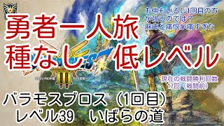 HD-2D版『ドラゴンクエストIII　そして伝説へ…』バラモスブロス（1回目）　勇者一人　レベル39 種無し いばらの道　ネタバレあり