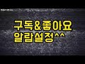 민물고기 서열1위2위 가물치와 메기의 황소개구리 올챙이에 대한반응 amazing snakehead hunting bullfrog ウシガエル fishing catfish