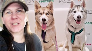 Husky Meet and Greet at Petcon