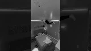 Footage Caught From Our Security Camera