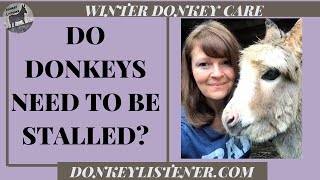 Do donkeys need to be stalled? #donkey #farmlife