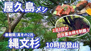 【真冬の屋久島】ご当地グルメもトレッキングも完全攻略！「全長22kmの縄文杉」\u0026「白谷雲水峡(トトロの森)」をW制覇する2泊3日の癒され旅！〜冬の九州旅行PART1〜