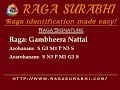 raga gambheera nattai arohanam avarohanam and alapana raga surabhi