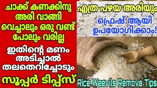 അരിയിലെ വണ്ട് ശല്ല്യം ഒഴിവാക്കാൻ  ഇത് ഒരു തുള്ളി മതി മണം അടിച്ചാൽ തലതെറിച്ചോടും/Get rid rice weevils