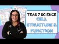 2024 ATI TEAS Science Cell Structure, Function, & Organization Study Guide (with Practice Questions)