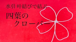 【水引】叶結びで四葉のクローバー【結び方】