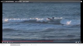 2021.1.9 湘南波情報動画　AM7:05 鵠沼　Jerry Smith