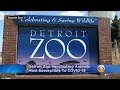 Detroit Zoo Animals Are Getting COVID-19 Vaccines