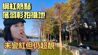 我的深圳吃喝玩樂 - 飛撲去深圳看落羽杉 | 洪湖公園落羽杉位置點去 | 洪湖公園有間商場餐廳多到拍得住萬象食家 | 羅湖出發 | 巴士直逹無須轉車 (CC中文字幕)