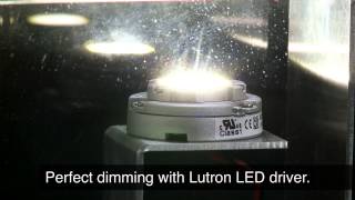 Lutron LED drivers – Guaranteed dimming performance