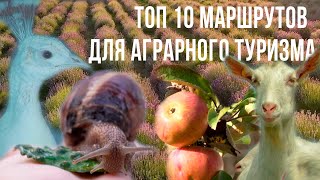 Подальше от города! ТОП 10 маршрутов для АГРАРНОГО туризма.