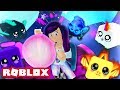 GETTING EVERY PET! | Roblox Bubble Gum Simulator