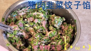 韭菜猪肉饺子馅的做法——史上最详尽教程、包管好吃~！