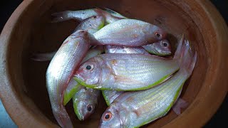 മീൻ നിങ്ങൾ ഇത് പോലെ വച്ച് നോക്കൂ/FISH CURRY/MEEN MANGA CURRY