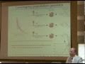 Huntington's Disease: Spotlight on Stem Cell Research 2007 - Robert Pacifici