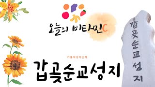 [오늘의 비타민C] 가톨릭 성지순례 - 인천교구 갑곶순교성지 | 행복한 아침 되세요!