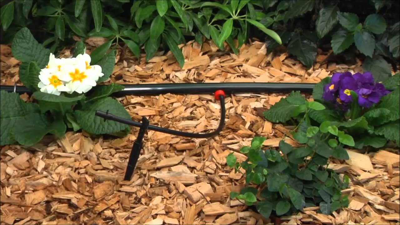 Rain Bird Drip Irrigation System Youtube