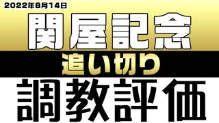 【関屋記念2022】最終追い切り診断。調教映像を確認して馬体やフットワークなど状態を解説・評価しました。