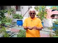 health benefits of rare medicinal plants grow on terrace garden dr.khader vali