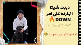 دربت شيتا انهارده علي امر DOWN❤ ادخلو الفيديو بسرعه 😂#تدريب_كلاب #كلاب #اكسبلور  #doglover #foryou